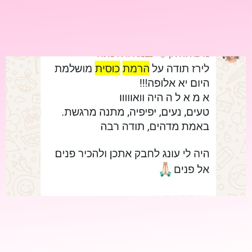 המלצה1